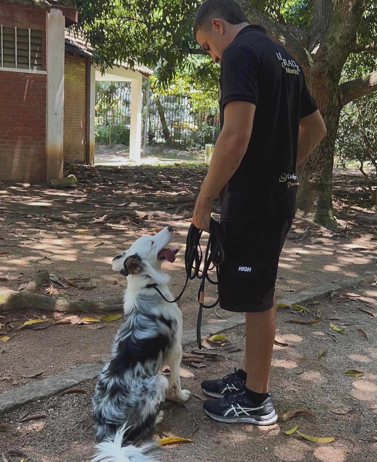 Biel conduzindo Border Collie atento na guia durante treino externo